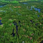 Skydiving Stock Footage, Taro, Root Vegetable, Tree, Landscape, Plant