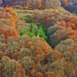 Slog3 Footage Download Free, Canyon, Tree, Valley, Landscape, Mountain