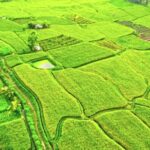 Smile Stock Footage, Landscape, Field, Agriculture, Rural, Grass