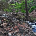 Smoking Stock Video, Rubbish, River, Landscape, Water, Forest