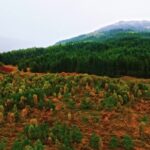 Snow Storm Stock Footage, Highland, Landscape, Sky, Tree, Mountain