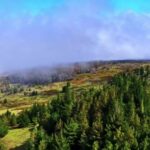 Soprano Clips, Highland, Landscape, Tree, Mountain, Range