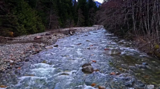 Stock Footage B Roll, Forest, Land, River, Stream, Landscape