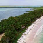 Stock Footage Free Reddit, Shoreline, Ocean, Beach, Sea, Water