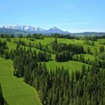 Stock Footage Without Watermark, Landscape, Rice, Stone Wall, Field, Grass