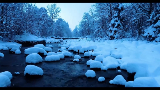 Stock Hd Footage, Snow, Ice, Landscape, Winter, Forest