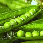 Stock Image Sites, Pea, Legume, Green Pea, Vegetable, Sugar Snap Pea