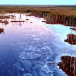 Stock Market Background Images, Ice, Crystal, Landscape, Water, Solid