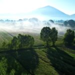 Stock Photos Free Download, Highland, Landscape, Grass, Mountain, Tree