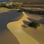 Stock Video Art, Dune, Sand, Beach, Sea, Landscape