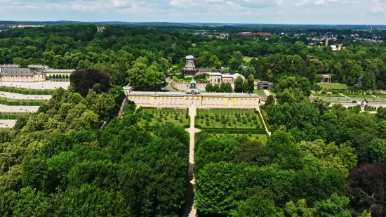 Tv Static Stock Video, Tree, Landscape, Garden, Maze, Architecture