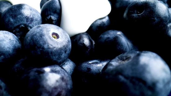 Twitch Mp4 Clip, Blueberry, Berry, Edible Fruit, Fruit, Produce