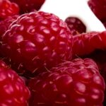 Twitter Stock Footage, Raspberry, Berry, Edible Fruit, Fruit, Drupe