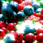 Vaporwave Stock Footage Free, Currant, Berry, Fruit, Red Currant, Shrub