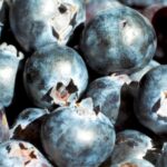 Vfx Background Download, Blueberry, Berry, Edible Fruit, Fruit, Produce