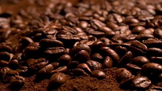 Videezy Background Video, Coffee, Cacao, Tree, Woody Plant, Caffeine