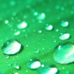 Video Animation Effects Free Download, Dew, Rain, Drops, Wet, Water