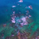 Video Backgrounds For Filming Editors, Reef, Underwater, Sea, Fish, Coral