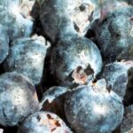 Video Hd Wallpaper Download, Blueberry, Berry, Edible Fruit, Fruit, Produce