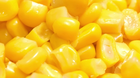 Video Ka Background Download, Corn, Kernel, Grain, Seed, Fruit