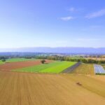 Video Stock Footage Free, Landscape, Field, Grass, Sky, Country