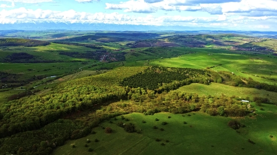 Vintage Stock Footage, Highland, Landscape, Knoll, Rural, Grass