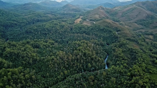 Visually Similar Stock Footage Free Download, Mountain, Landscape, Highland, Range, Tree