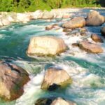 Worship Backgrounds Motion, Ice Bear, Bear, Water, River, Rock